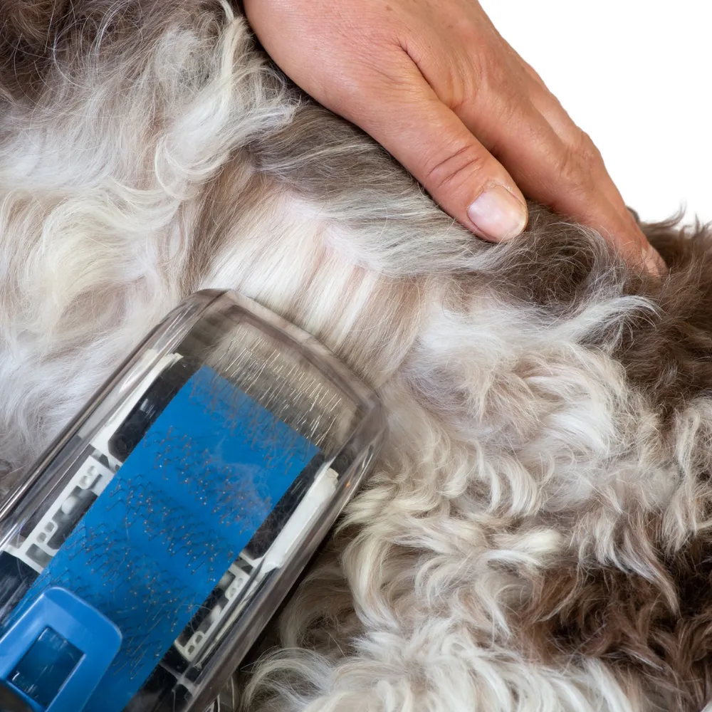 Auto Dog Brush Petite Ready To Go Set