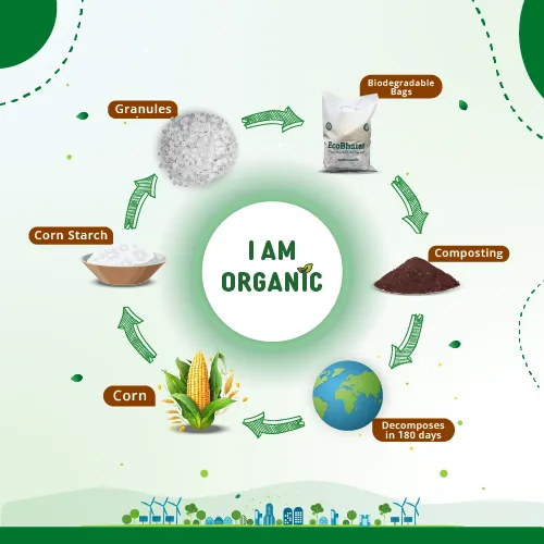 Biodegradable and Compostable D-cut Carry Bags 16x24(40pcs)