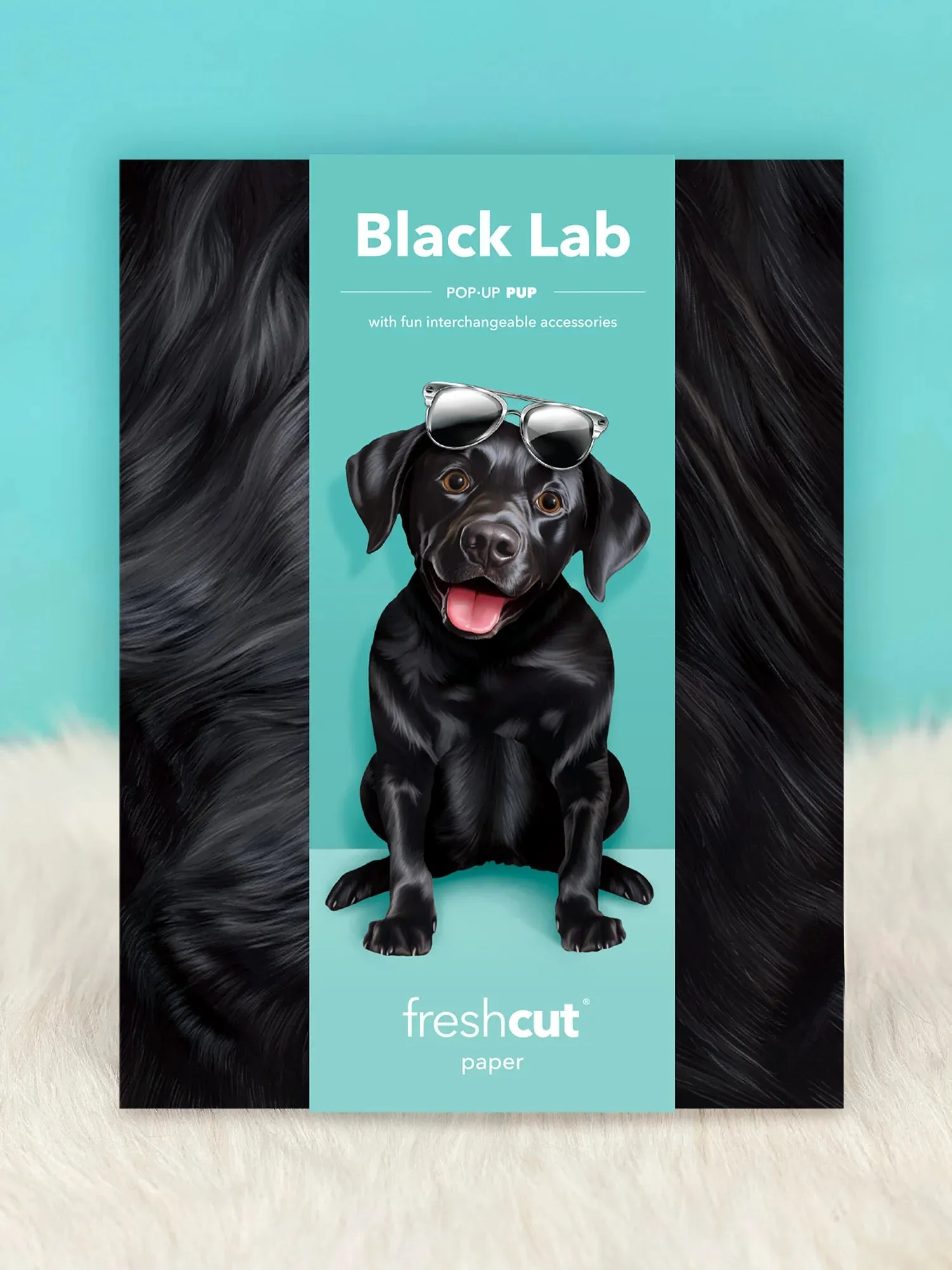 Black Lab Pop-Up Card