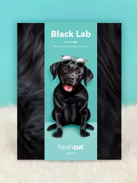 Black Lab Pop-Up Card