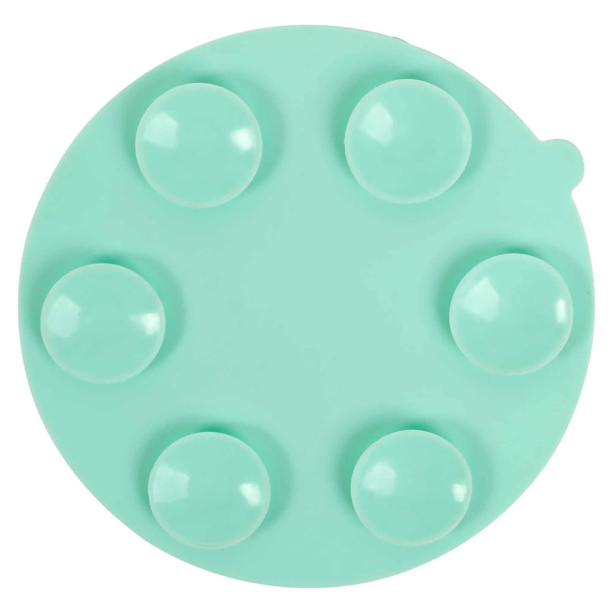 Buddy & Belle Slow Feeder Dog Bowl Insert