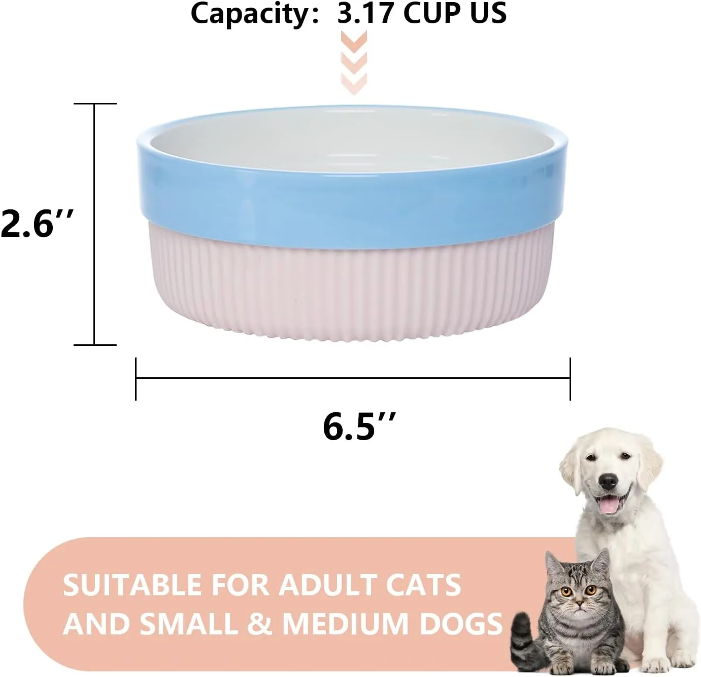 Ceramic Dog Bowls - Non Slip with Silicone Base, Set of 2 Bowls for Small Medium Dogs and Cats (Blue)