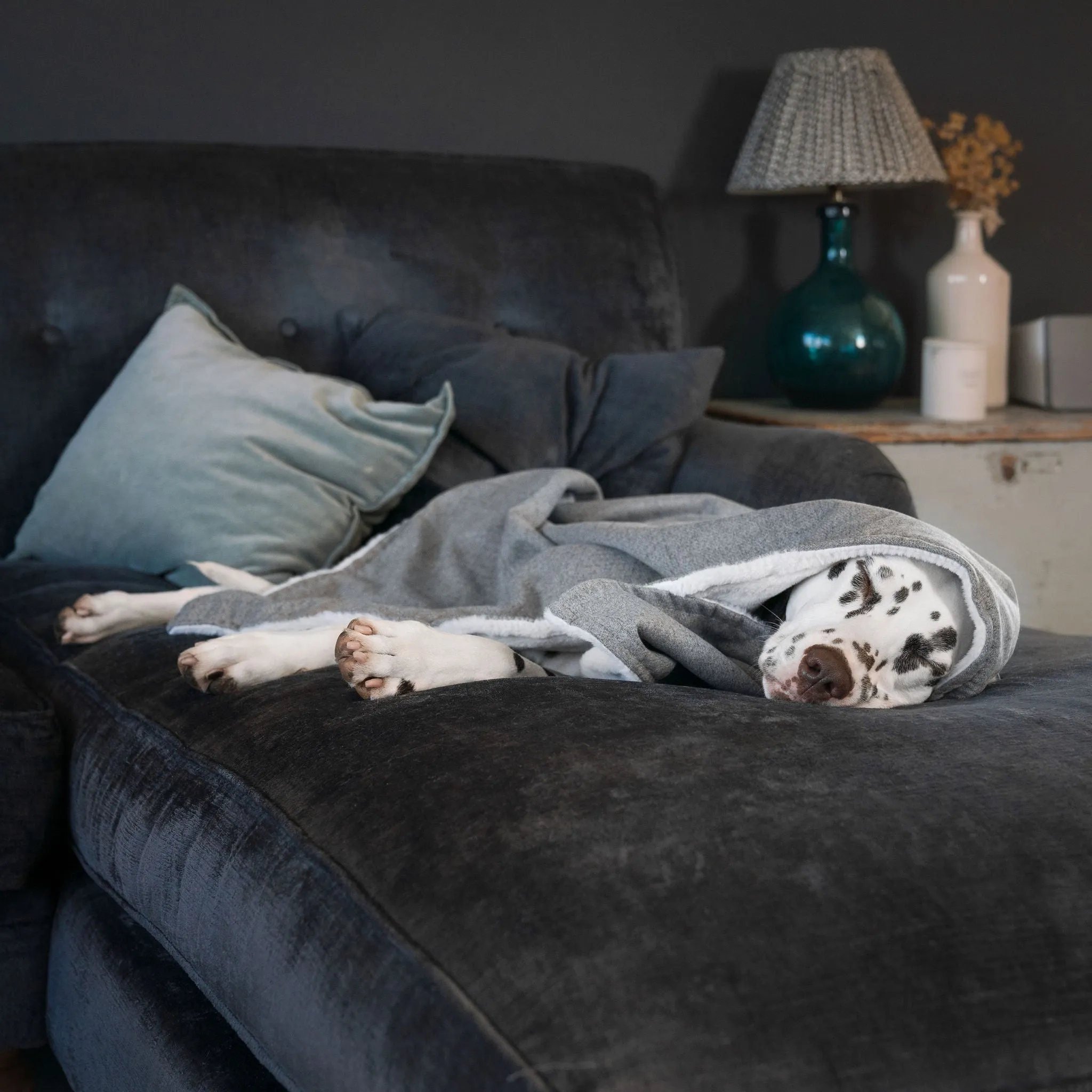 Dog & Puppy Blanket in Inchmurrin Ground by Lords & Labradors