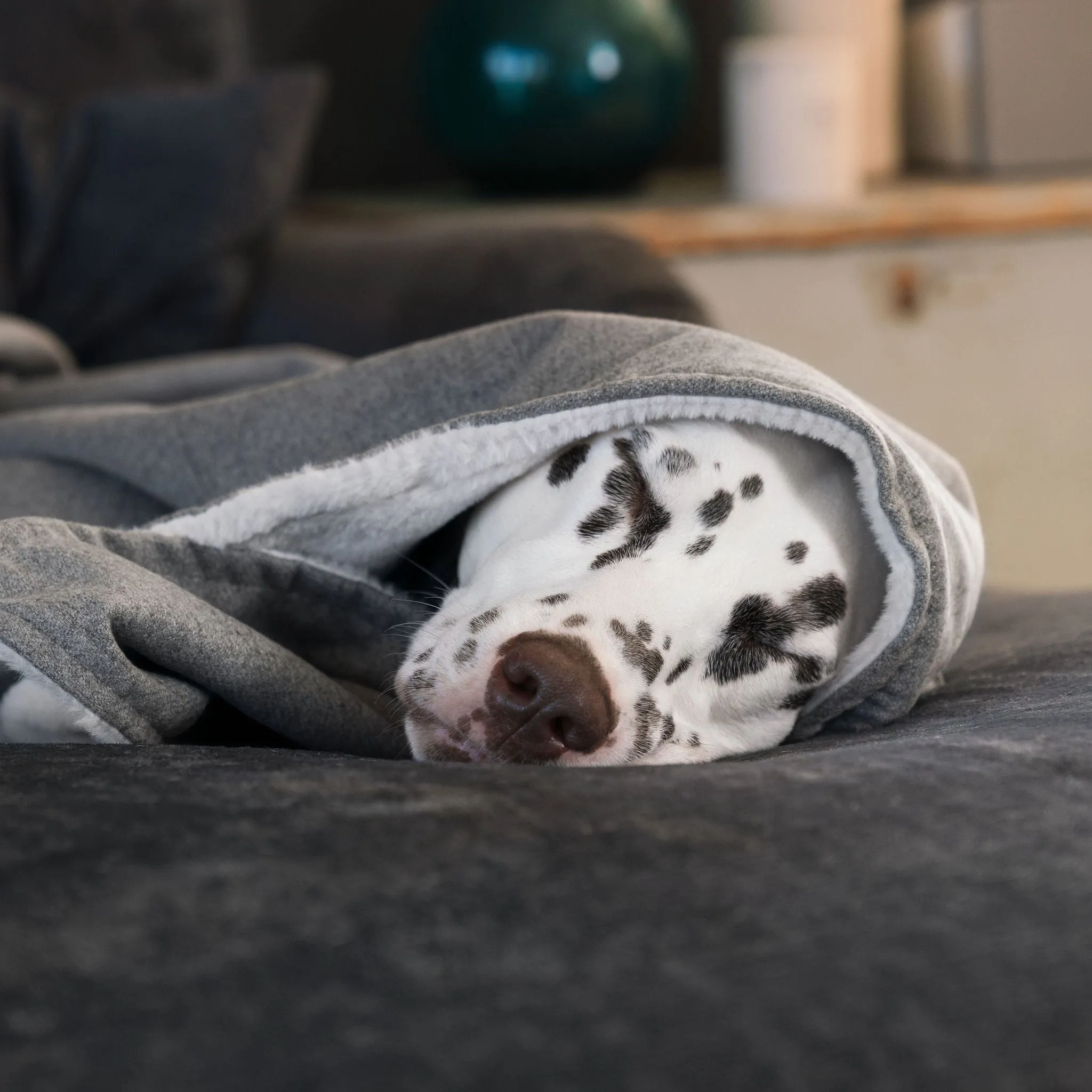 Dog & Puppy Blanket in Inchmurrin Ground by Lords & Labradors