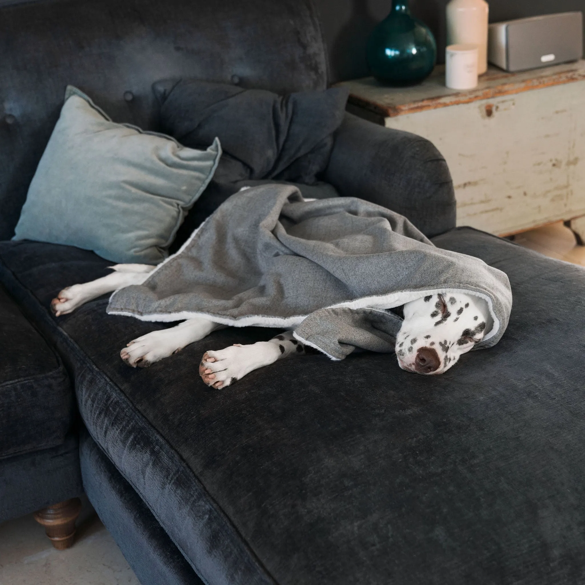 Dog & Puppy Blanket in Inchmurrin Ground by Lords & Labradors