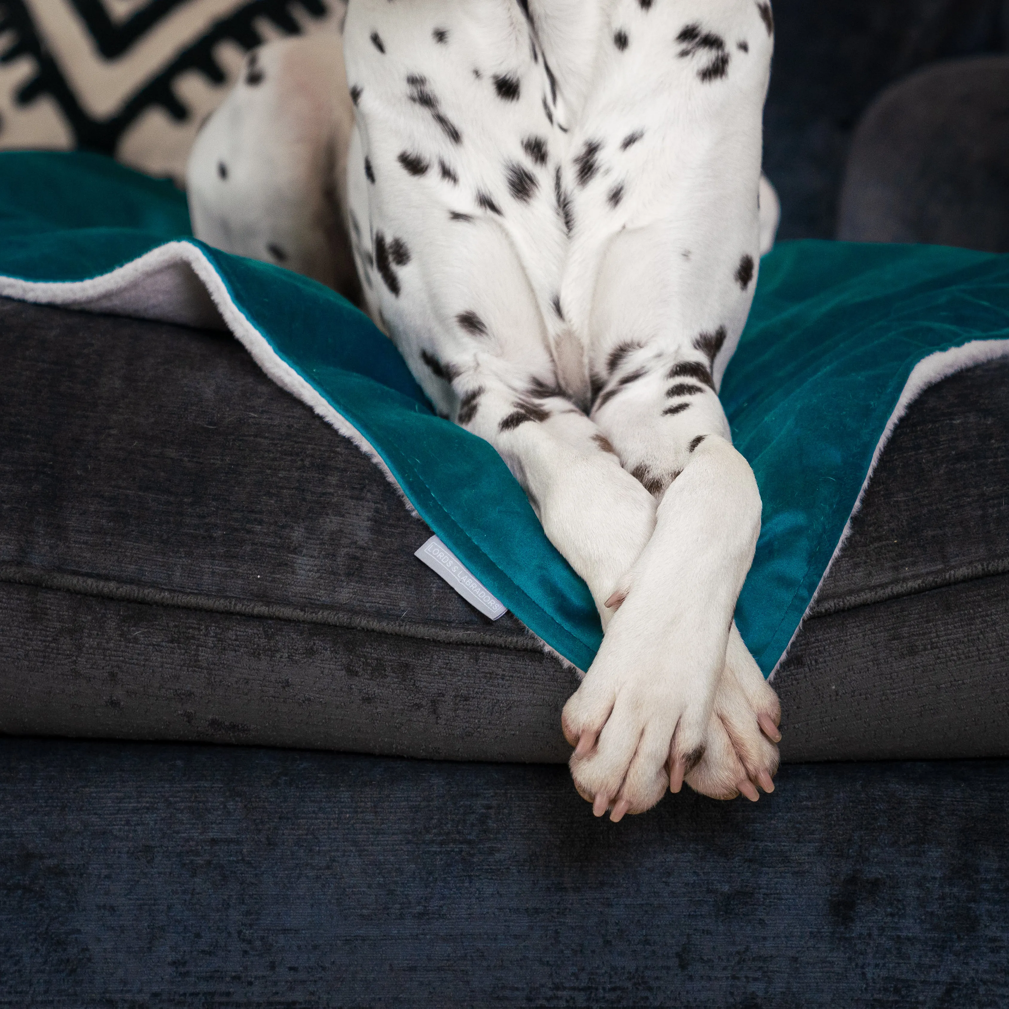 Dog & Puppy Blanket in Marine Velvet by Lords & Labradors