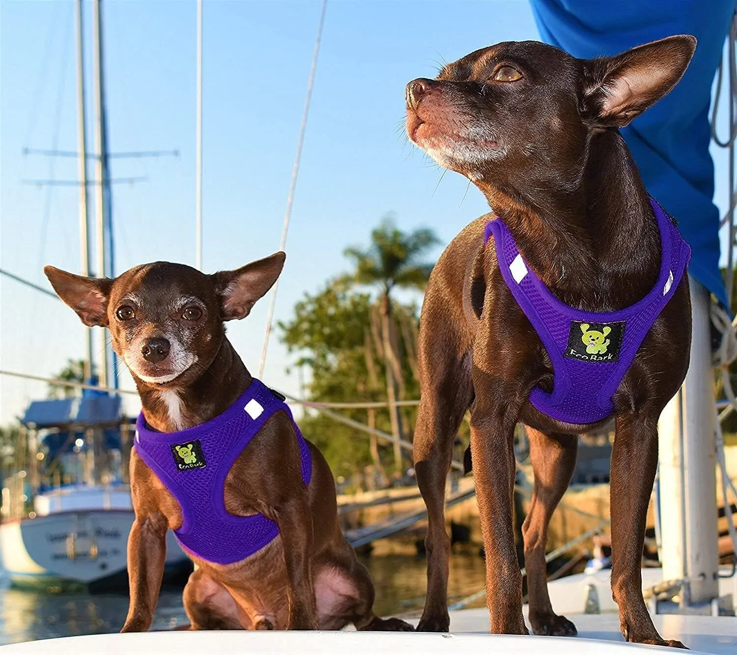 EcoBark Step in Dog Harness - Eco-Friendly Dog Harnesses for Small and Medium Dogs - Reflective and Adjustable Body Halter Vest - Soft Mesh Toy Breed Harness (Purple, Medium)