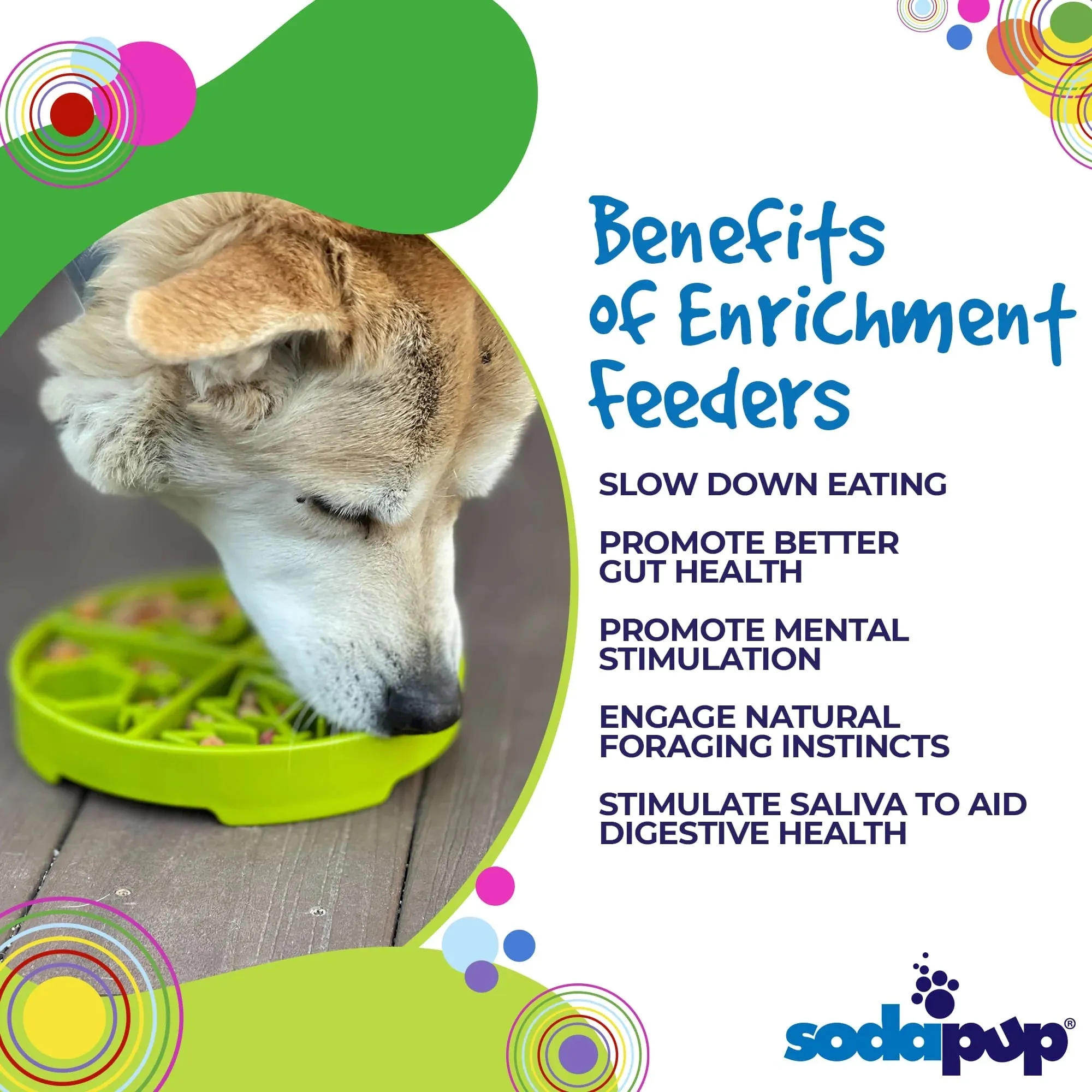 Four Seasons Enrichment Bowl (Shallow)