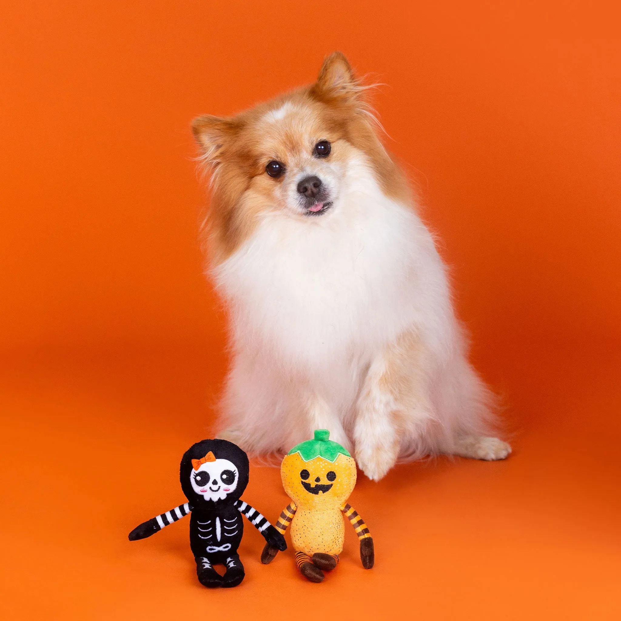 Fringe Oh My Gourd Dog Toys