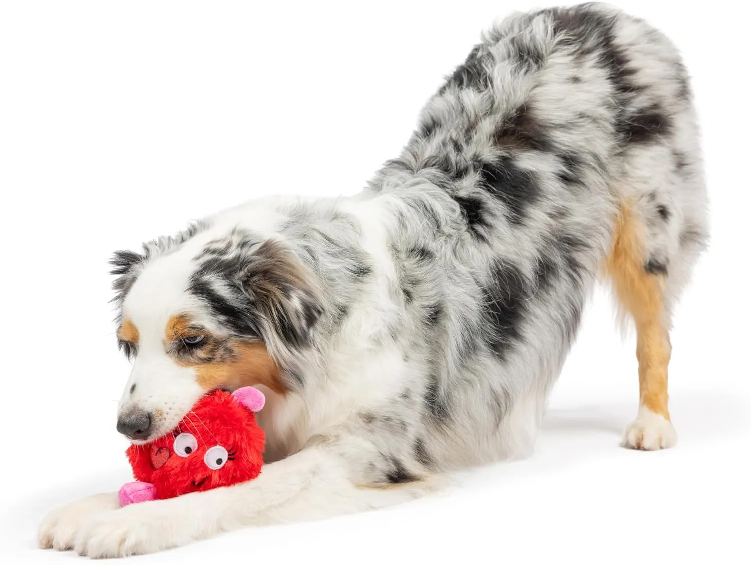Huxley & Kent for Dogs - Fur Bug (One Size - 4.5") - Valentine's Day Power Plush Funny Dog Toy with Squeaker - Fun, Durable - H&K Squeaky