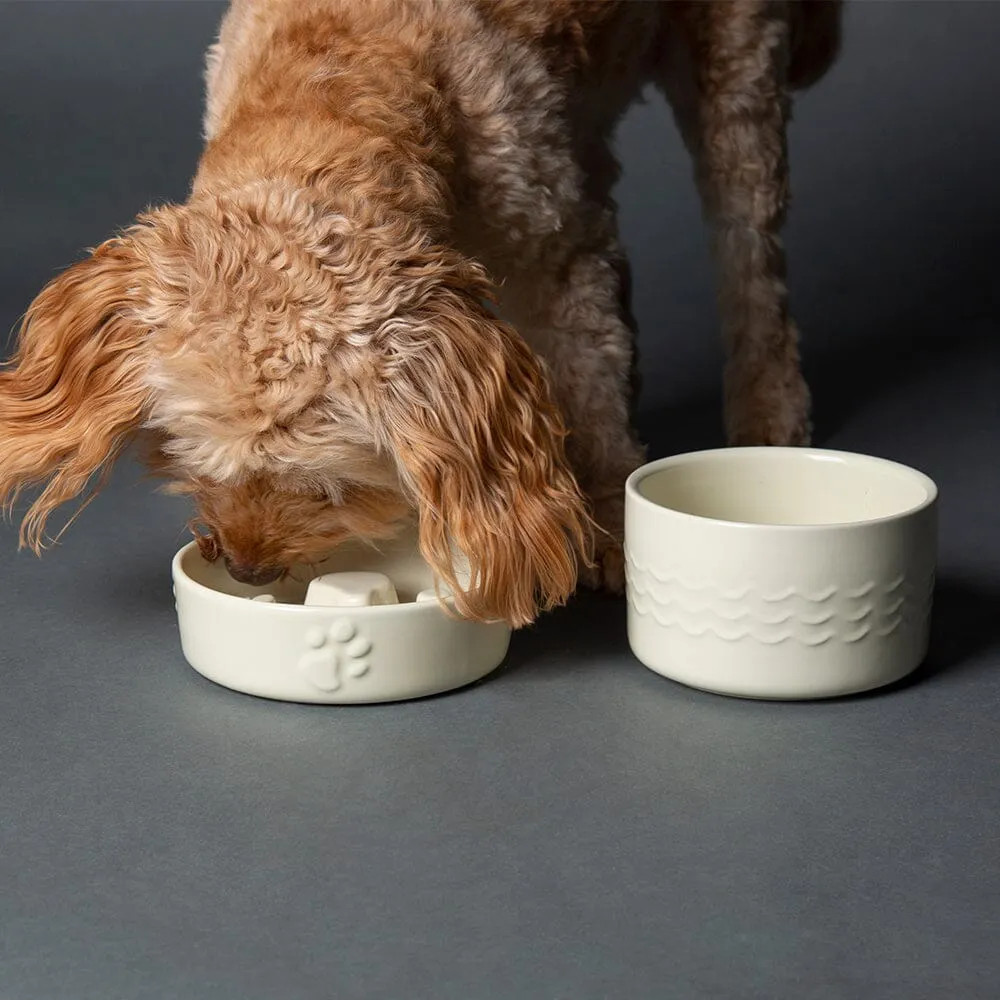 Icon 2 Piece Dog Slow Feeder & Water Bowl Set