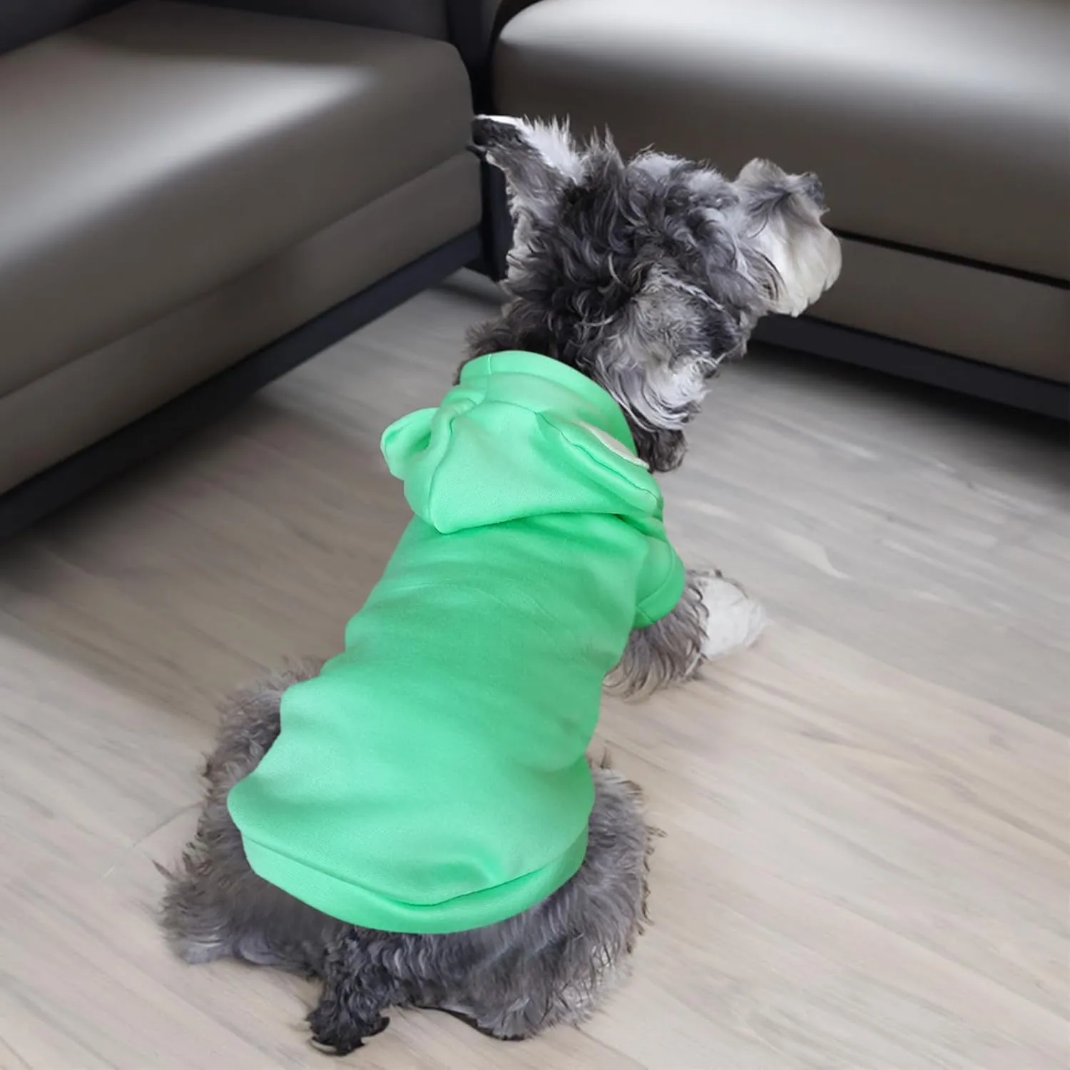 Jecikelon Dog Cold Weather Coat Winter Clothing Warm Puppy Hoodies Sweatshirt for Small Dogs Cats Soft Hooded Pet Clothes Suter para Perros (X-Small, Green)