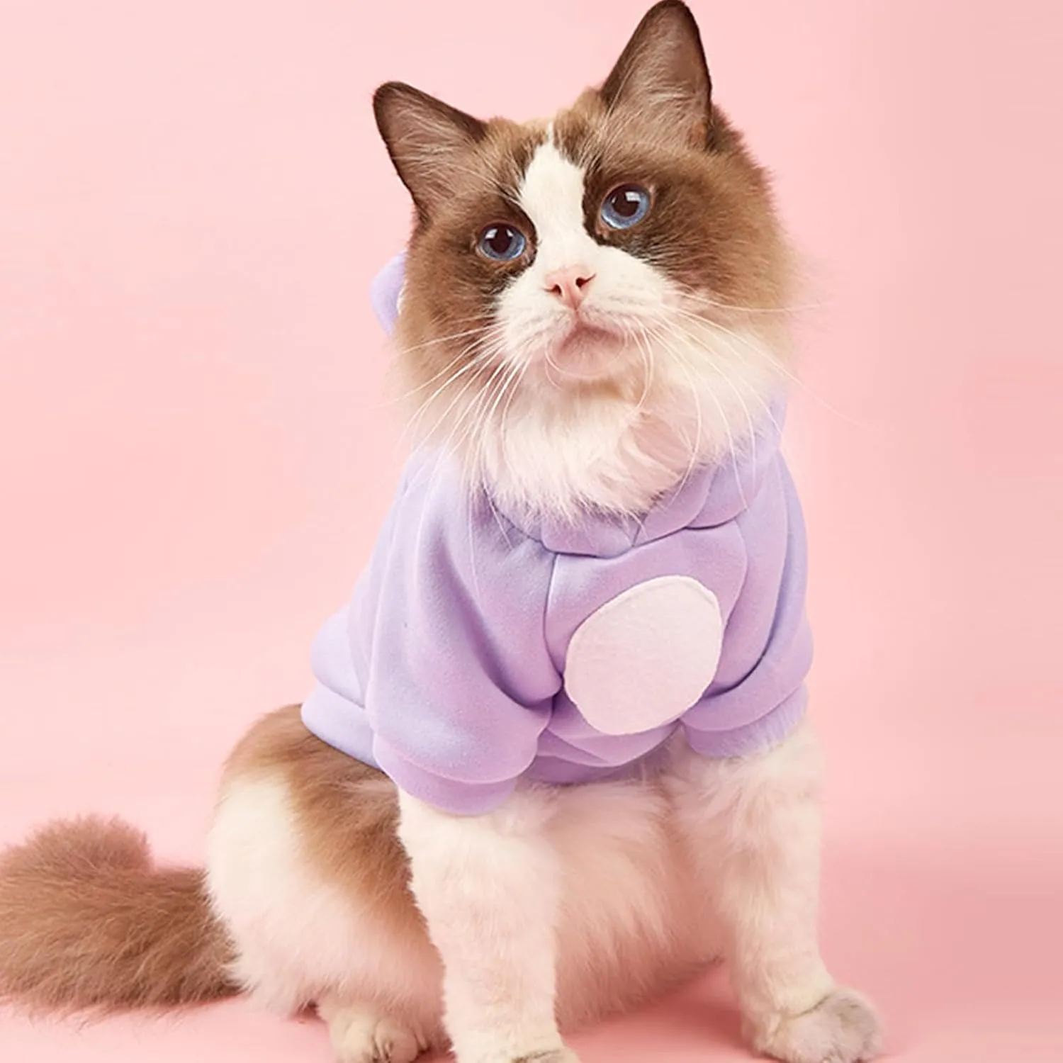 Jecikelon Dog Cold Weather Coat Winter Clothing Warm Puppy Hoodies Sweatshirt for Small Dogs Cats Soft Hooded Pet Clothes Suter para Perros (X-Small, Purple)