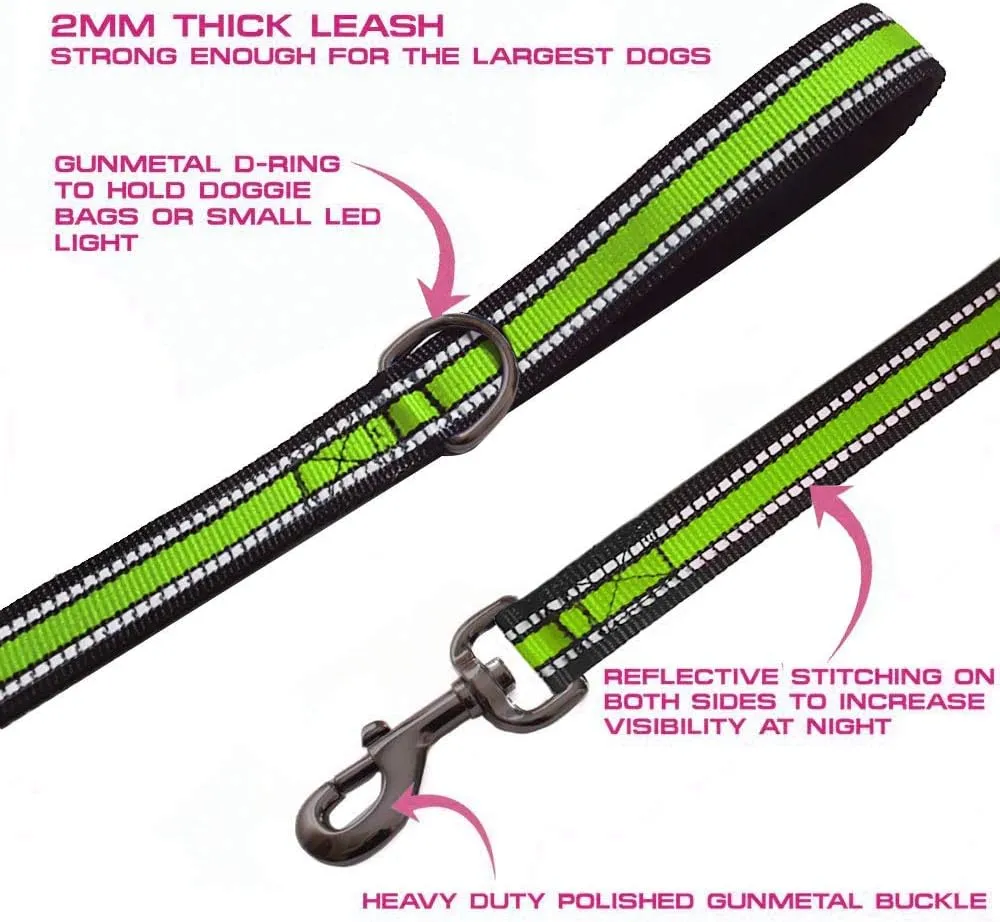 JSXD Heavy Duty Double Handle Dog Leash - 5 FT with Comfortable Padded and Reflective Rope, for Small to Large Dogs (Wide-Green)