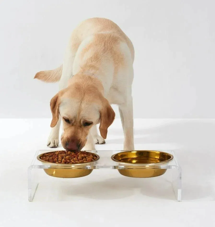 Large Clear Double Dog Bowl Feeder with Gold Bowls
