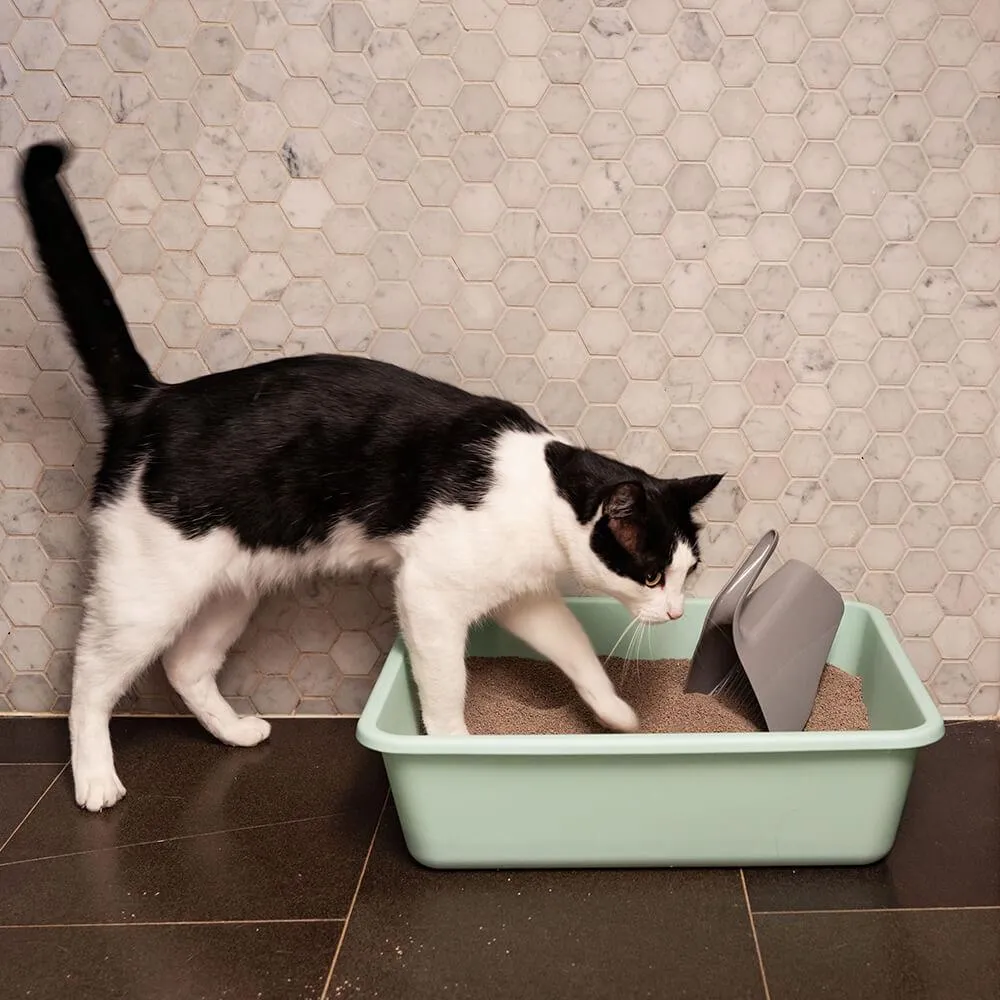 Lexi & Me Rectangle Litter Tray