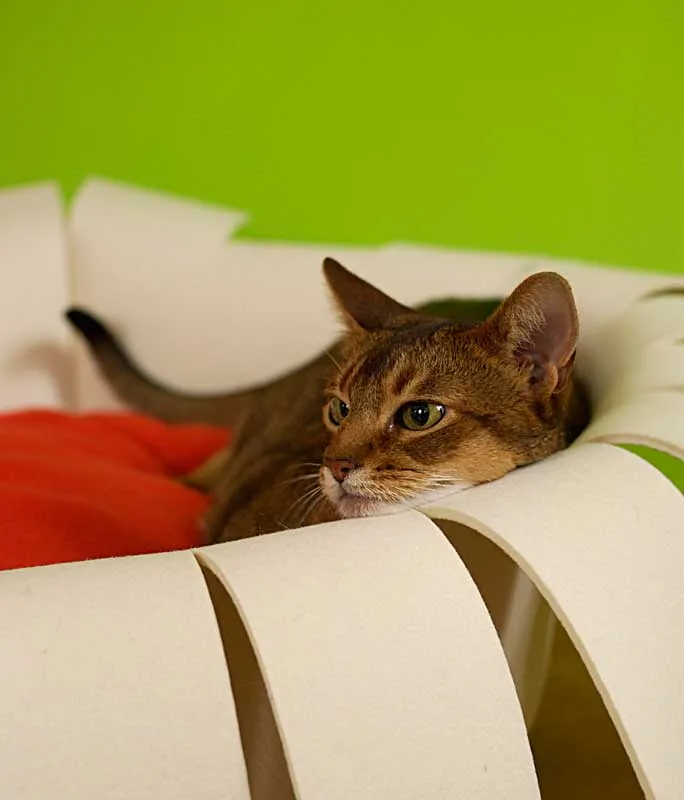 Luxury Crown Felt Cat Bed