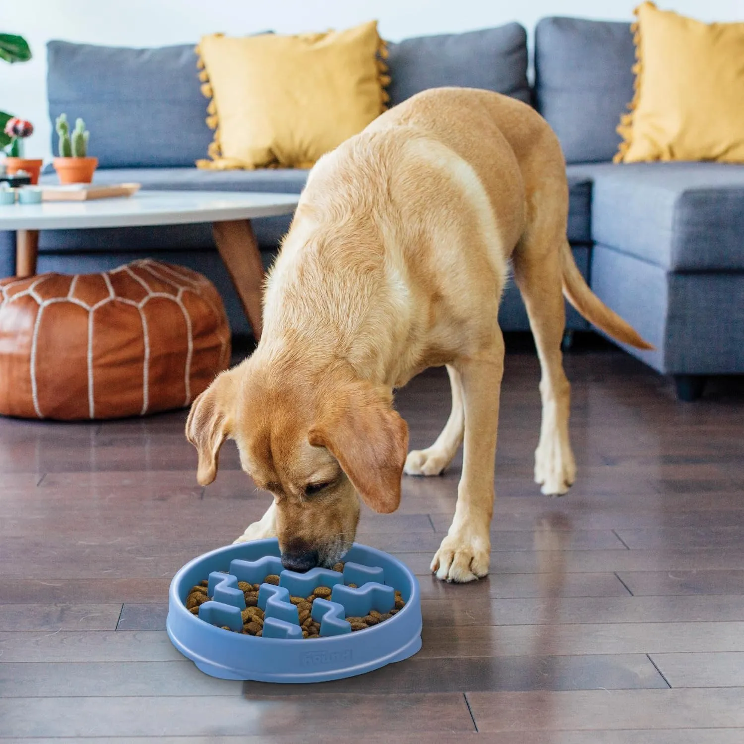Outward Hound Fun Feeder Slo Dog Bowl