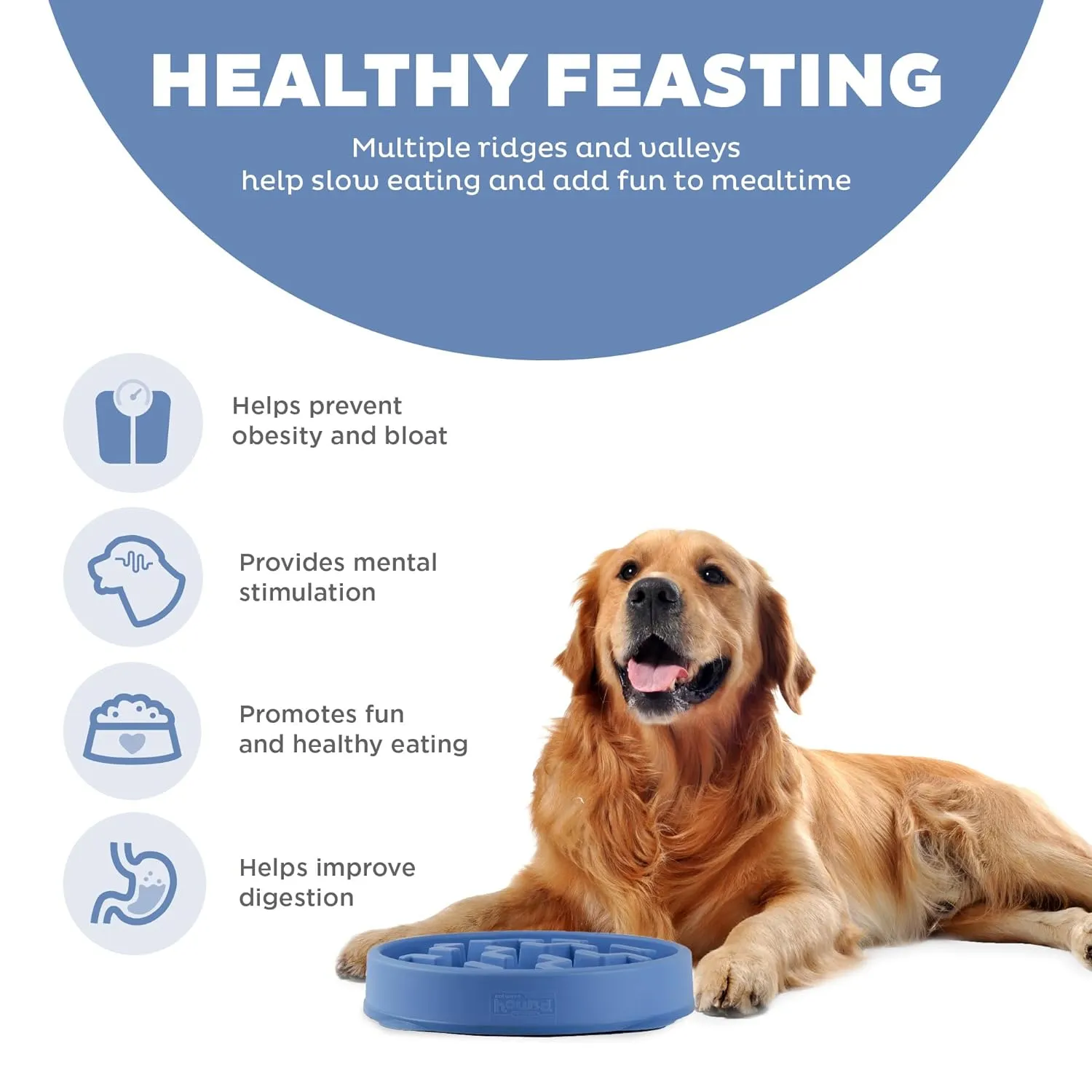 Outward Hound Fun Feeder Slo Dog Bowl