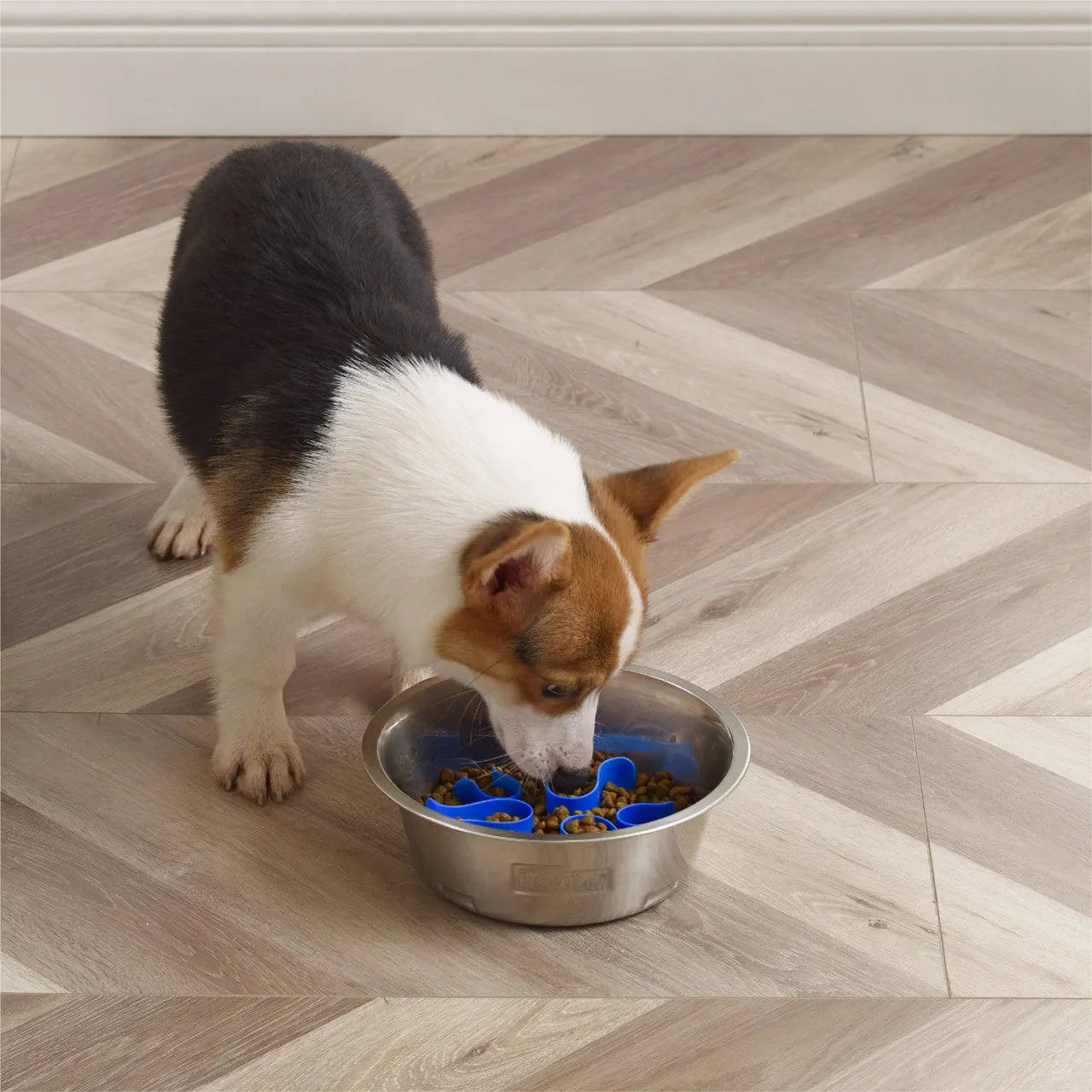 Outward Hound Fun Feeder Stainless Steel Slo Bowl