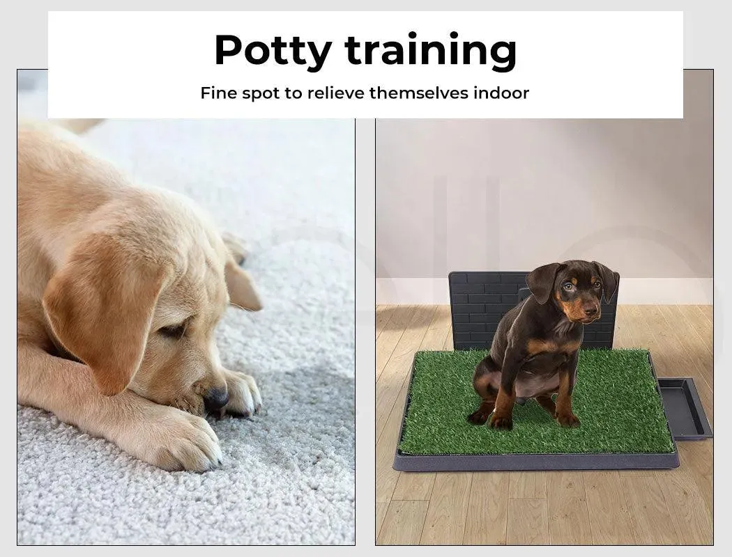 Pawz Synthetic Dog Grass Mat with Splash-Proof Wall