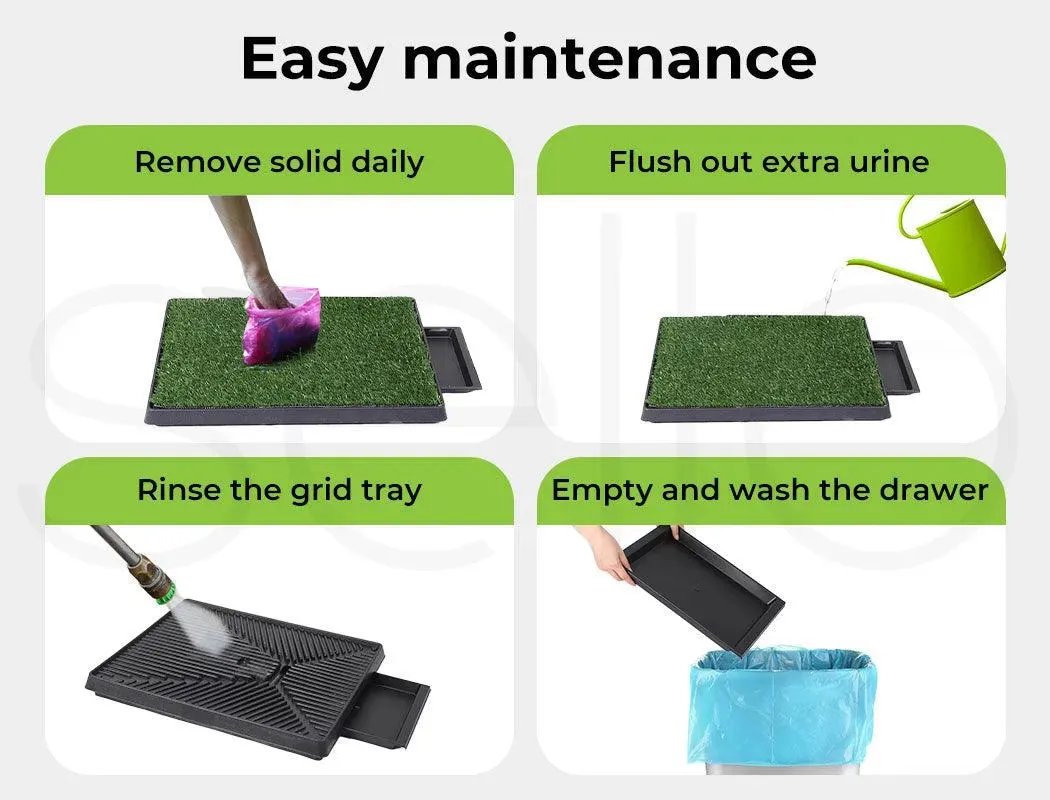 Pawz Synthetic Dog Grass Mat with Splash-Proof Wall