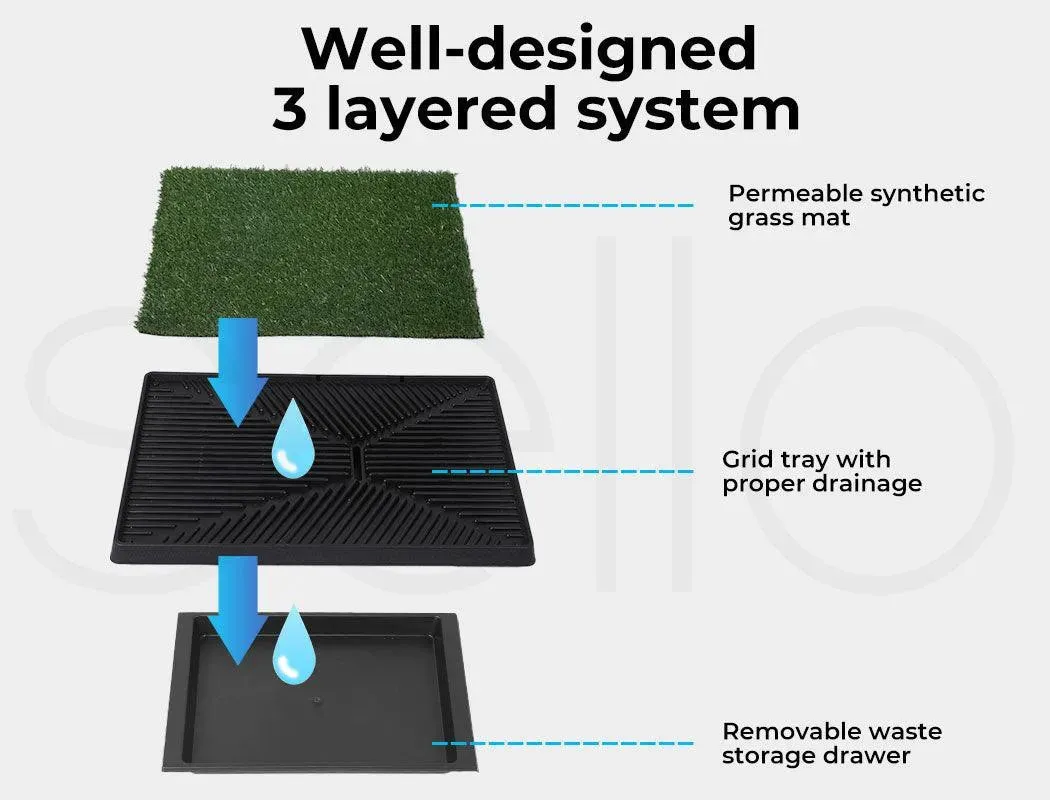 Pawz Synthetic Dog Grass Mat with Splash-Proof Wall
