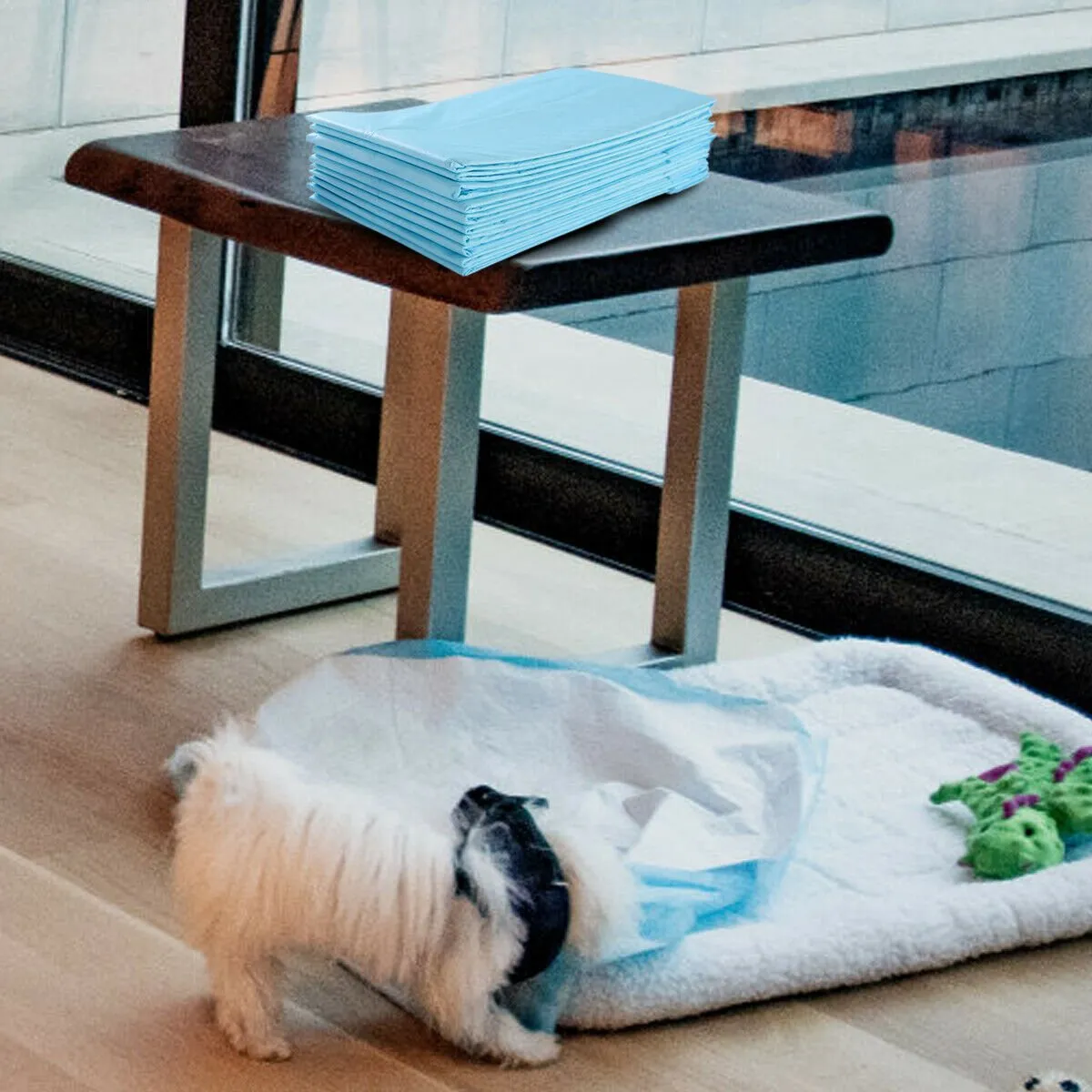 Pet Pee pads with 5-Layer Design of 4 Sizes-Size 3