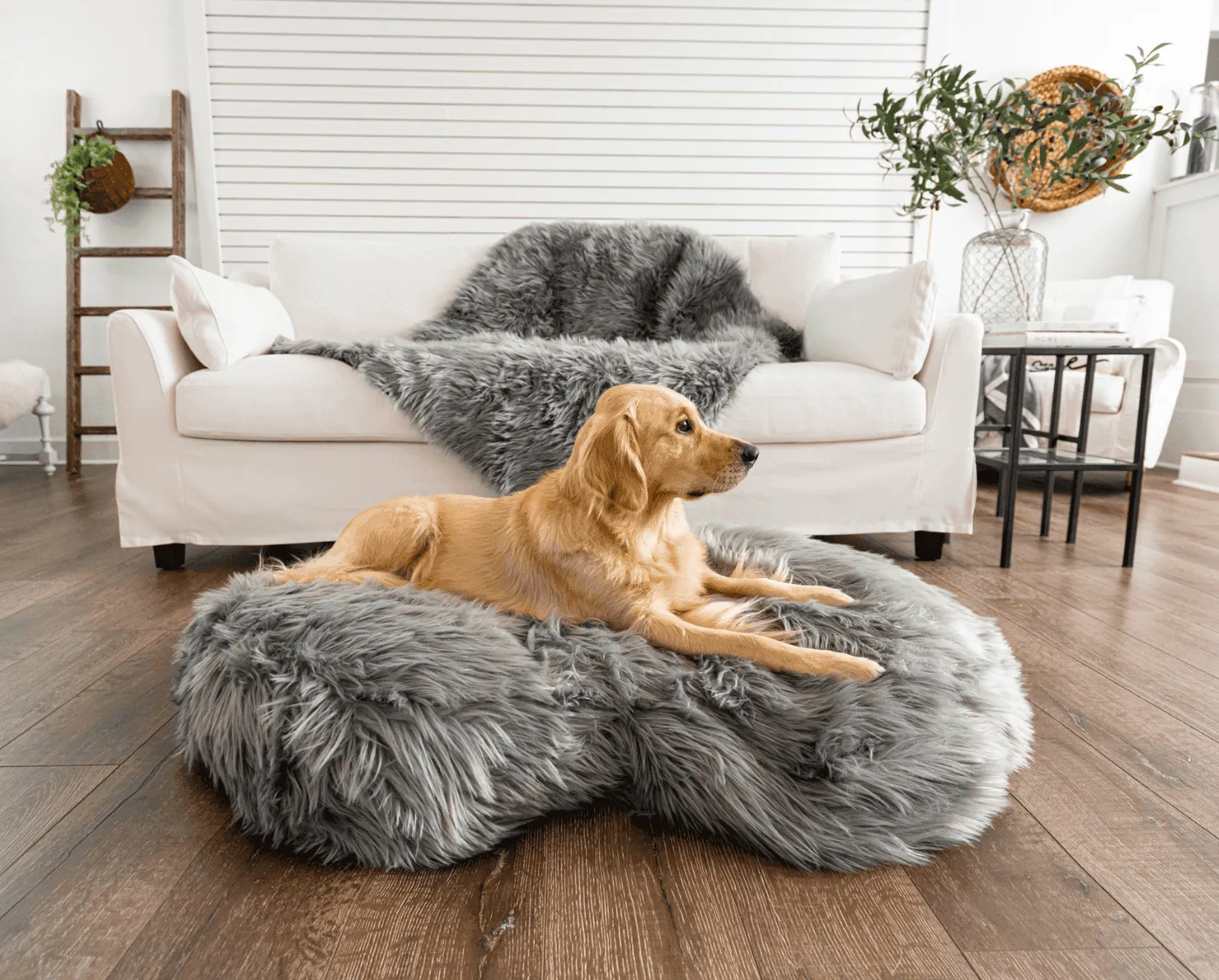 PupCloud™ Faux Fur Memory Foam Dog Bed - Curve Charcoal Grey