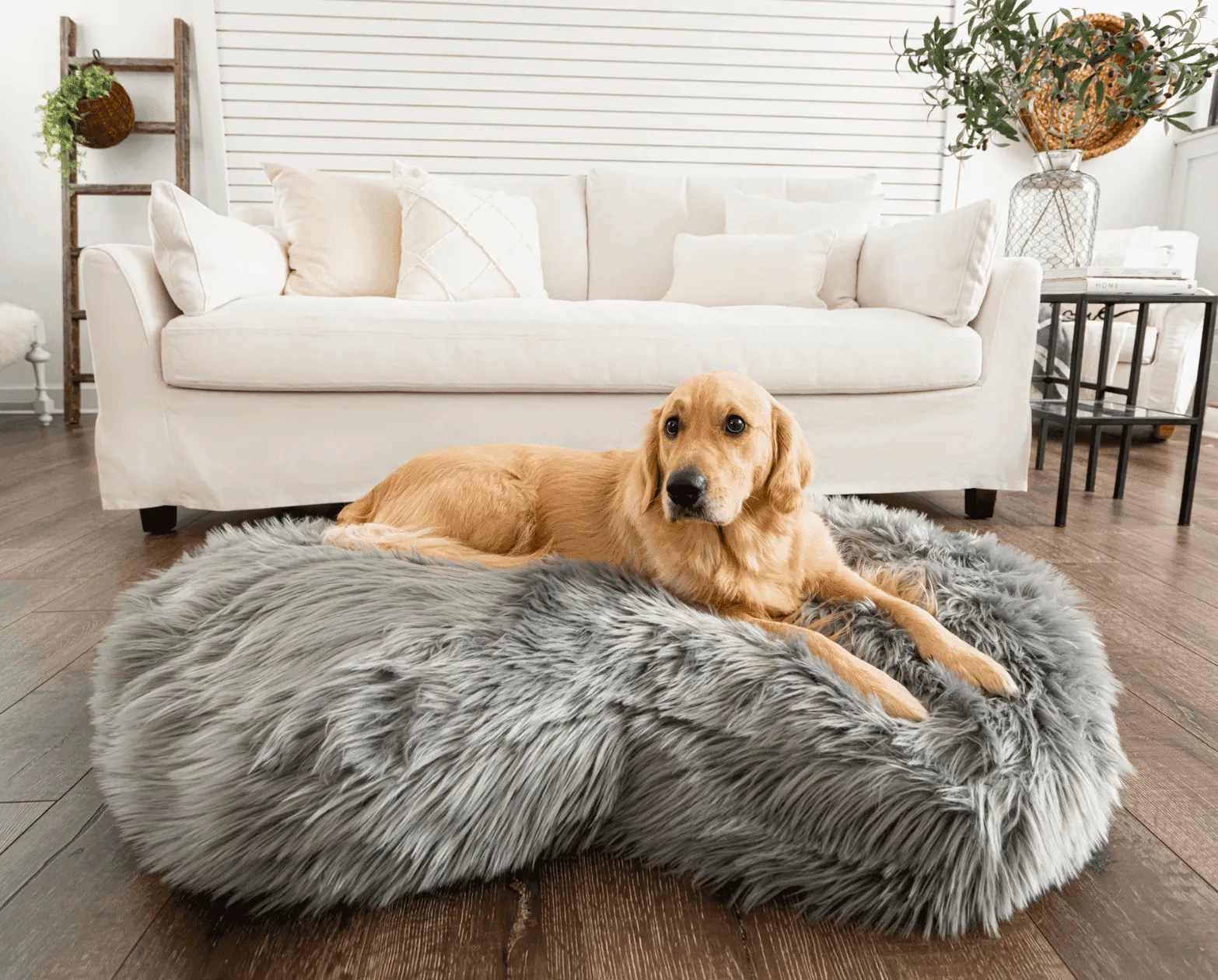 PupCloud™ Faux Fur Memory Foam Dog Bed - Curve Charcoal Grey