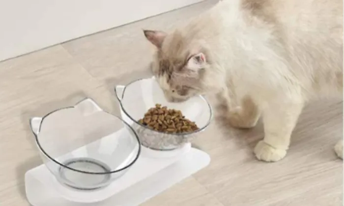 Rex - Comfort Double Pet Bowl