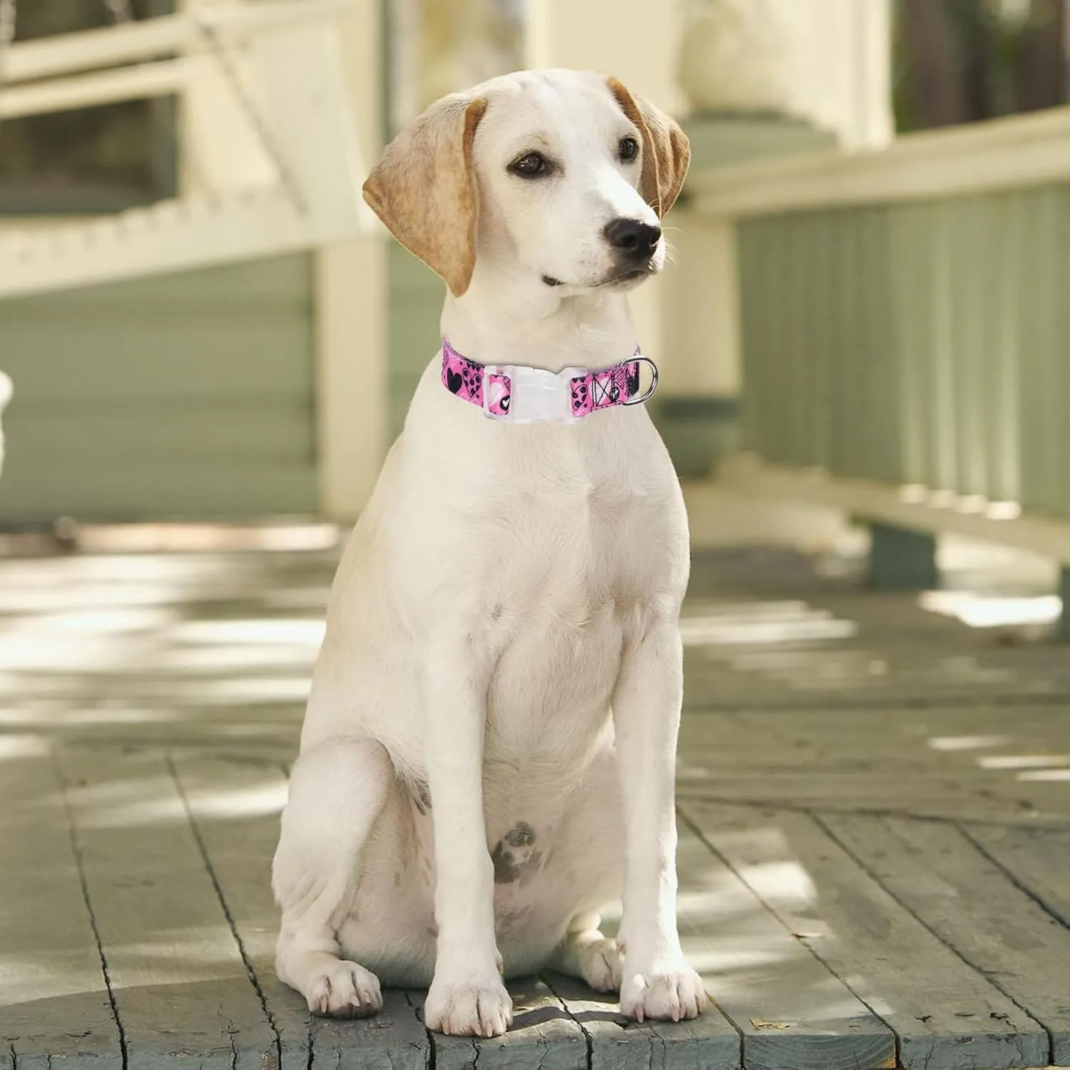 Serijoars Floral Print Puppy Dog Collar for Small Medium Large Dogs Collars with Quick Release Buckle for Girls Female Dog (NO3, S)