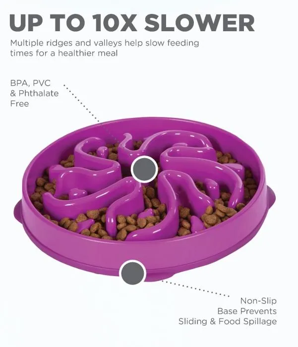 Slow Feeder Dog Bowl - Dog Bowl for Fast Eaters - Outward Hound Fun Feeder Slo-Bowl Flower