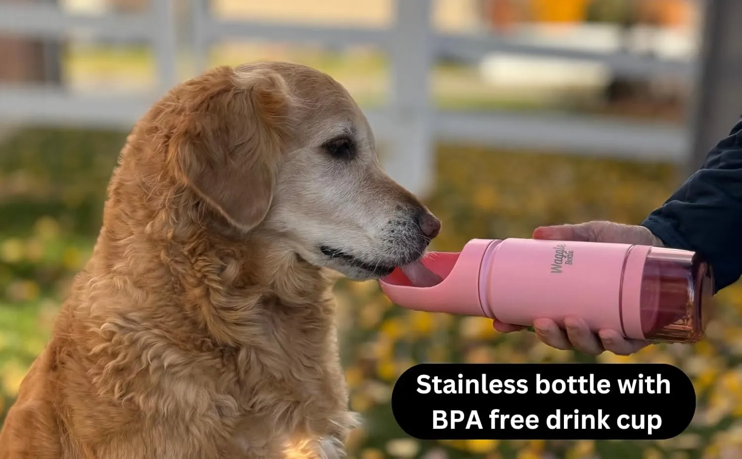 Stainless Steel Dog Travel Water Bottle, Vacuum Insulated Portable Dog Water Dispenser, Drink Cup and Snack Container On The Go, Outdoor Walking, Hiking, Travel (Pink, 22oz)